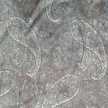 Load image into Gallery viewer, Teal Paisley Velour